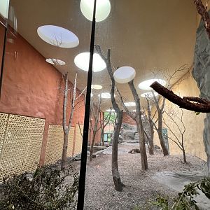 Panthera- Indoor Exhibit