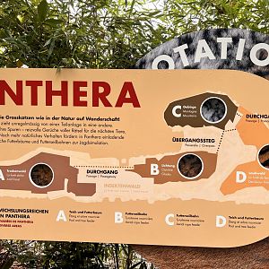 Panthera- Complex Map