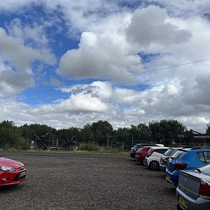 View of site of  building fire (was this an animal house?) 1.9.25