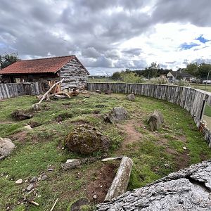 Meerkat, cape porcupine and sulcatta enclosure 1.9.25