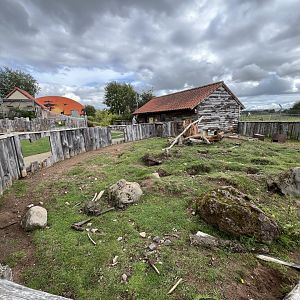 Meerkat, cape porcupine and sulcatta enclosure 1.9.25