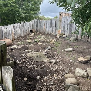 Six-banded armadillo enclosure 1.9.25