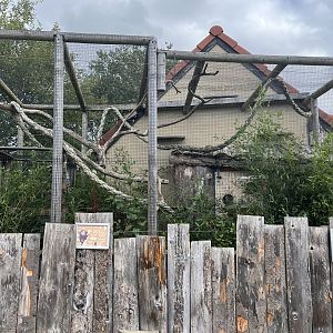 White-faced saki enclosure 1.9.25