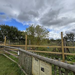 Grevy’s zebra enclosure 1.9.25