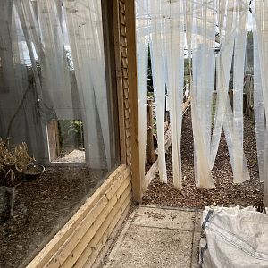 Bird walkthrough indoors (closed due to bird flu) 1.9.25