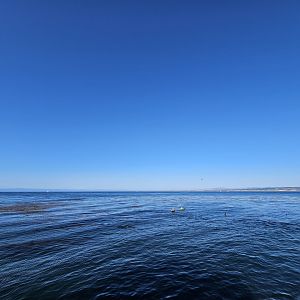 Monterey Bay view (Outdoor Deck)