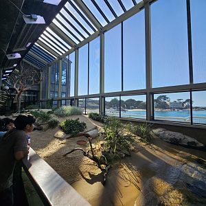 Sandy Shores Aviary (left side)