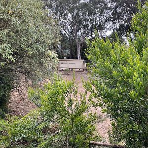 san francisco zoo unused enclosure