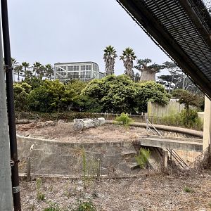 old unused ape habitat
