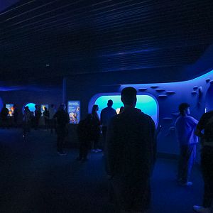 "Drifters Gallery" Entrance (Open Sea Gallery)