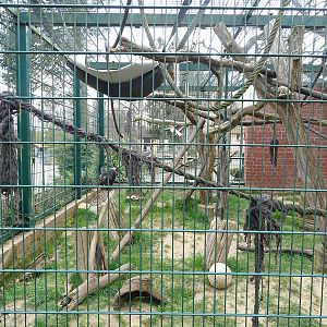 Amerika-Tierpark: Moor macaque enclosure