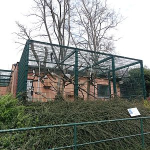Amerika-Tierpark: Moor macaque enclosure