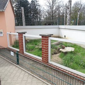 Amerika-Tierpark : Woodchuck enclosure