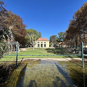 Giraffe & Abyssinian Ground Hornbill Exhibit