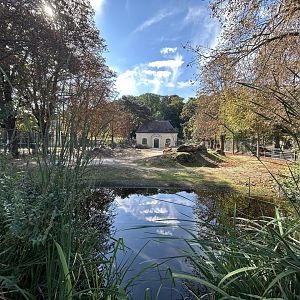 Common Eland & Blesbok Exhibit