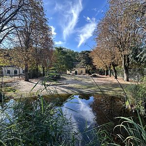 Burchell’s Zebra Exhibit