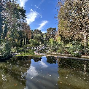 Greater Flamingo Exhibit