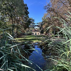 Mhor Gazelle Exhibit