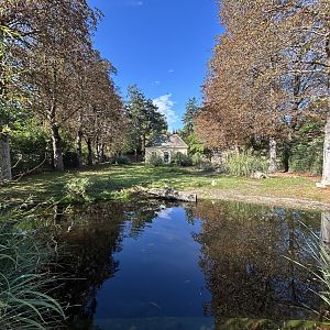 North African Ostrich Exhibit