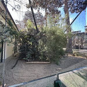 Dwarf Mongoose & Von Decker’s Hornbill Aviary