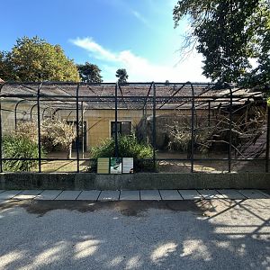Burrowing Parakeet Aviary