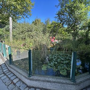 European Pond Turtle Exhibit
