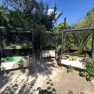 Native Herp Exhibits