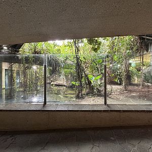 Morelet’s Crocodile Exhibit - Aquarium-Terrarium