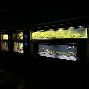 Various Aquariums - Aquarium-Terrarium