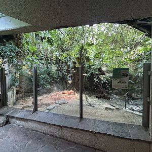 Radiated Tortoise Exhibit - Aquarium-Terrarium