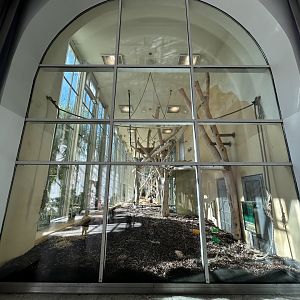 Indoor Orangutan Exhibit