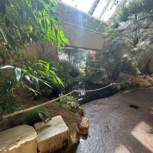 Savanna Walkthrough - Bird House