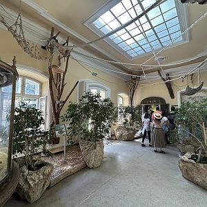 Two-toed Sloth & Amphibian Exhibits - Bird House