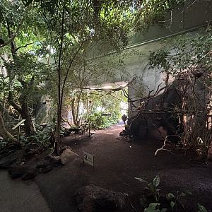 Tropical Walkthrough - Bird House