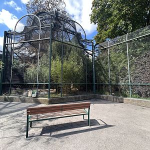 Egyptian Vulture Aviary