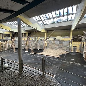 African Elephant House