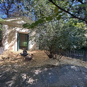Crested Screamer Exhibit