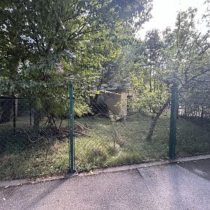 Kirk’s Dik-dik Exhibit