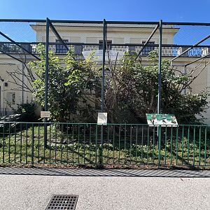 Emperor Tamarin, Pygmy Marmoset & Three-banded Armadillo Exhibit - Monkey House