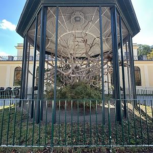 White-faced Saki & Callimico Exhibit - Monkey House
