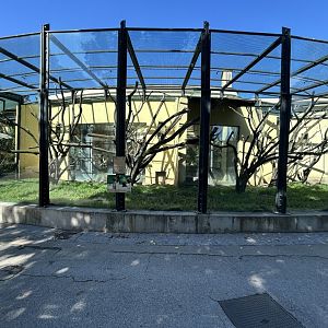 King Colobus & Meerkat Exhibit - Monkey House