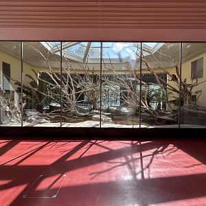 Indoor King Colobus & Meerkat Exhibit - Monkey House