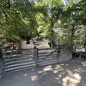 Goat Exhibit - Tirolerhof