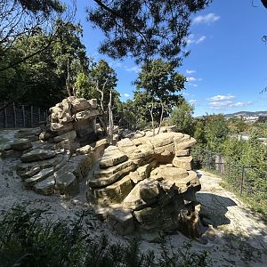 Barbary Sheep & Barbary Macaque Exhibit