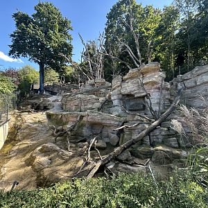 Barbary Sheep & Barbary Macaque Exhibit