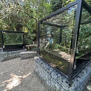 Native Herp Exhibits