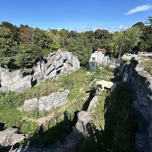 Polar Bear Exhibit #2