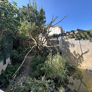 Red Panda & Asian Small-clawed Otter Exhibit