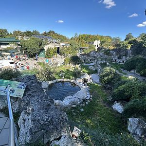 Humboldt Penguin Exhibit
