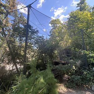 Swift Parrot & Maned Duck Aviary